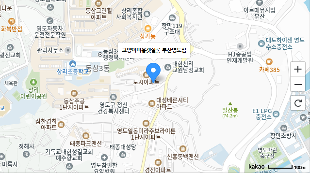 캣살롱.png